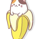 Seguidores de la Banana 🍌🐈