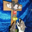 Christian Safe Place