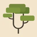 The Canopy