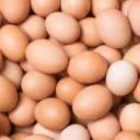 Egg Nation