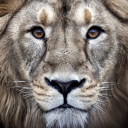 Sooner/Later Server Icon