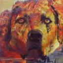 [CUR] CatahoulaCur