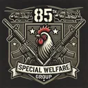 85th Special Welfare Group