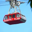 Roosevelt Island Pogo