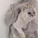 Ð‘ÐµÑÐµÐ´Ð° Ð¡Ð¾ÑƒÐ»Ð° Server Icon