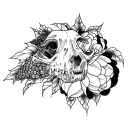 Coven of Bones [Global] Server Icon
