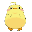 🐤 CaptainCuppyCrew