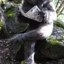 BIGFOOT'S FOREST