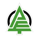 The Pine-Tree