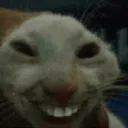 CrewX