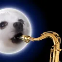 Witle's Creative Discord