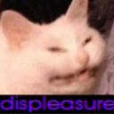 Squish Mittens Server Icon