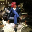 The Chicken People