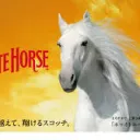 やむやむのお部屋