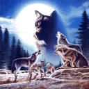 Among Wolves