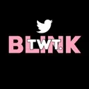 twt.BLINK