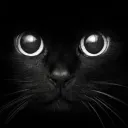 Il Gatto Nero