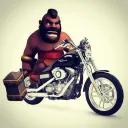 Harley Hoggers