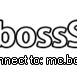 BossSMP