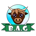Birmingham Anime Group