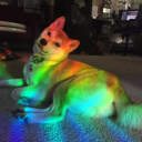 The Gays Server Icon