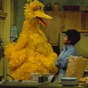 Big Bird's plantation