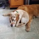 r/malementalhealth