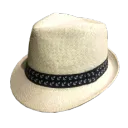 The White Hat