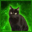 Nub's Kitty Corner