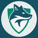 Skyfoxes Community