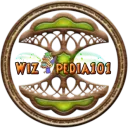 Wizpedia101