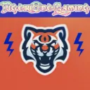 Tiger One Gaming - ZR + More