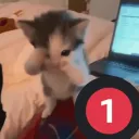 Server icon for CPF ✨