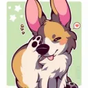 The Corgis Attack! 🐕