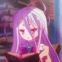 Shiro｜Community • Support