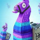 Fn Gaming Server Icon