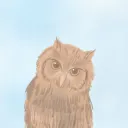 ふくろうカフェ