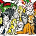 Canines