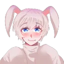 🐰 Usagi Random 🐇