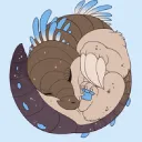 PichiDragons