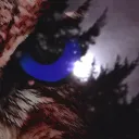 The Night-Owls' Tree