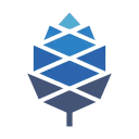 PINE64 Discord Server Icon – Programming
