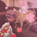 Dexter Fan Group