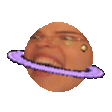 The Nut Hut