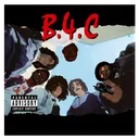 B4C