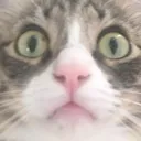 twitch gaming
