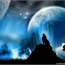 JONGE THE WOLF YOUTUBE SERVER