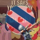 OWC Netherlands