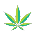 420 - Community