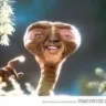 🐸The meme channel🐸